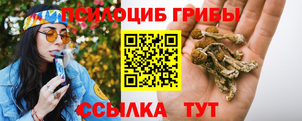 Псилоцибиновые грибы MAGIC MUSHROOMS  Вход с VPN  Свободный 